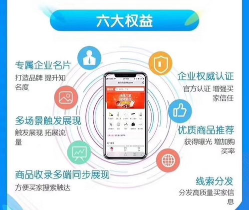 深耕技術(shù)推廣，助力泉城企業(yè)——濟(jì)南鴻利達(dá)信息科技，愛采購?fù)茝V的可靠之選